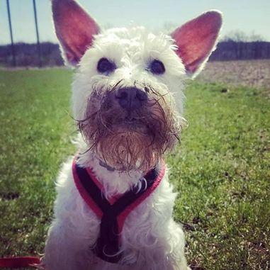 customer shared social media post