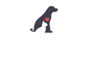 Innovet Pet