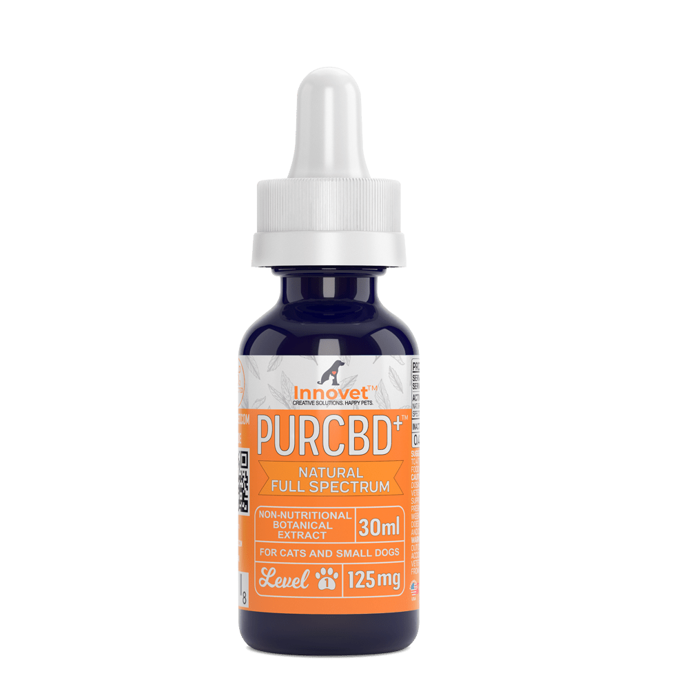 CBD Oil for Cats product image