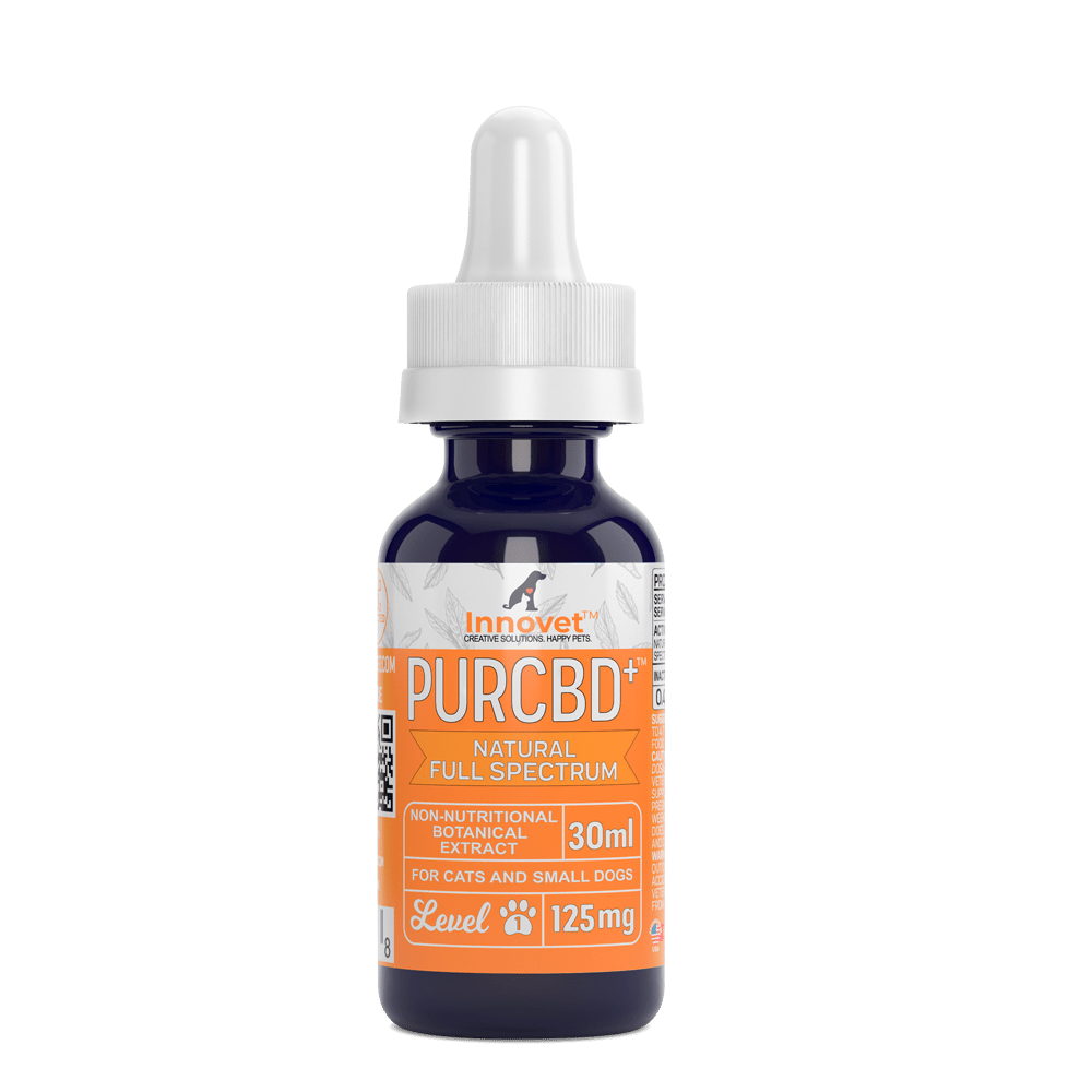 CBD Oil for Cats