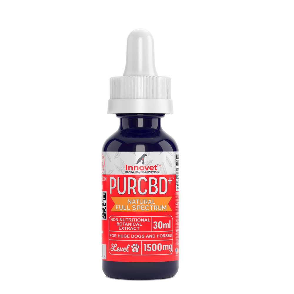 CBD Oil for Horses