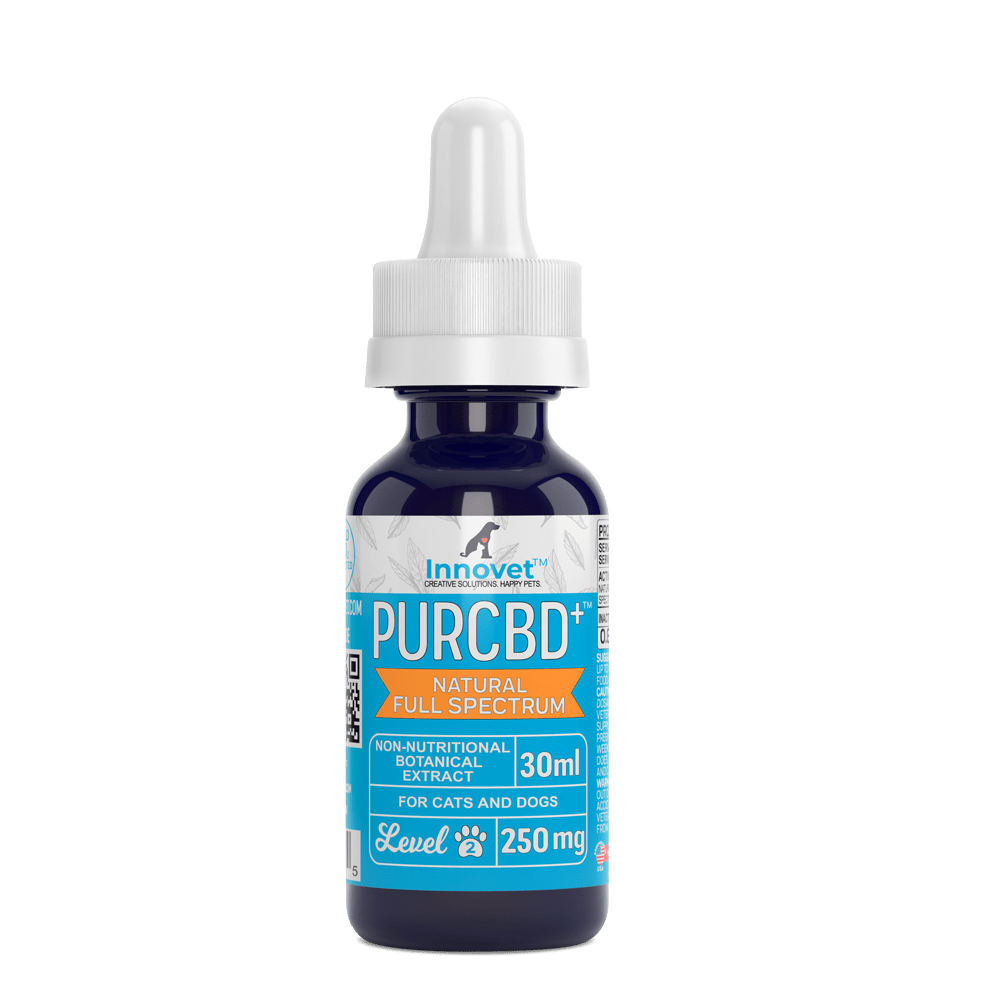 CBD Oil for Dogs