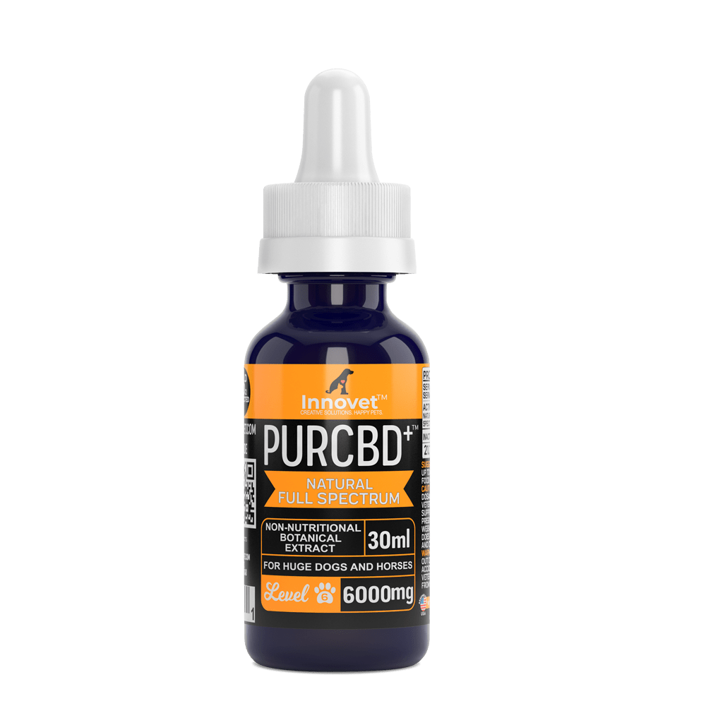 CBD Oil for Dogs