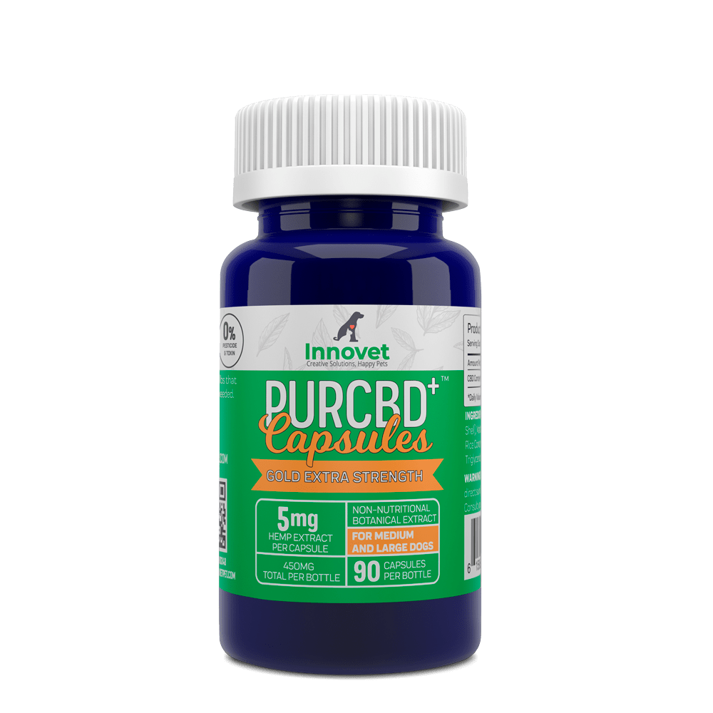 Hemp CBD Capsules for Dogs