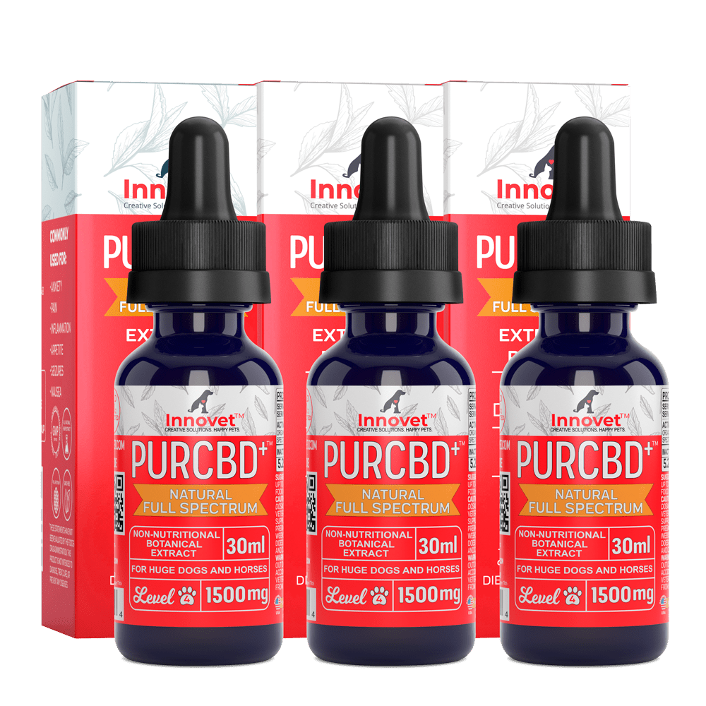 CBD Oil Triple Value Pack  Innovet Pet