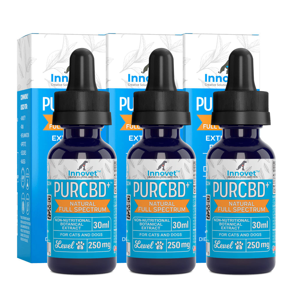 CBD Oil Triple Value Pack  Innovet Pet