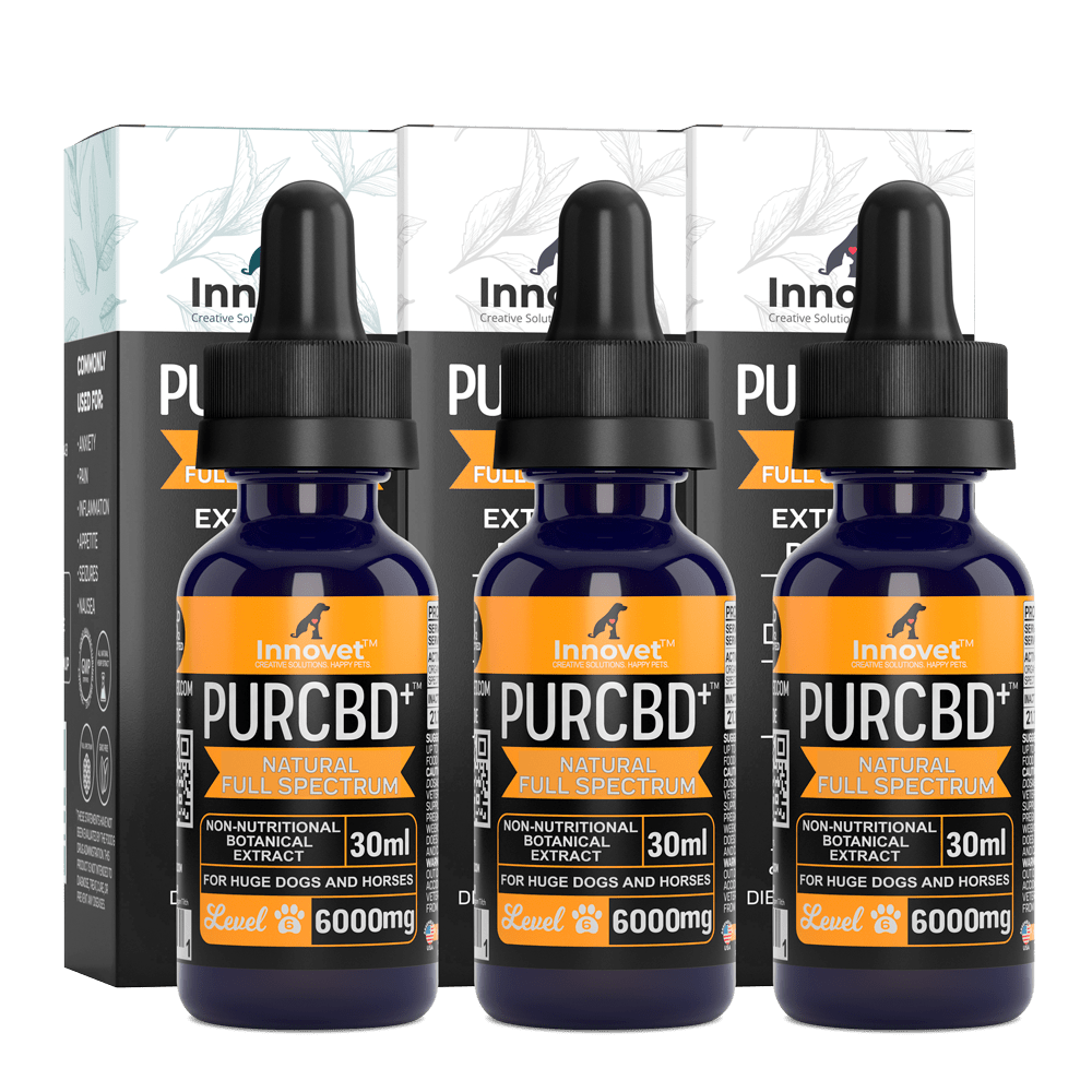CBD Oil Triple Value Pack – Innovet Pet