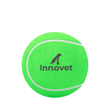 Green Premium Quality Dog Tennis Ball - | Innovet Pet