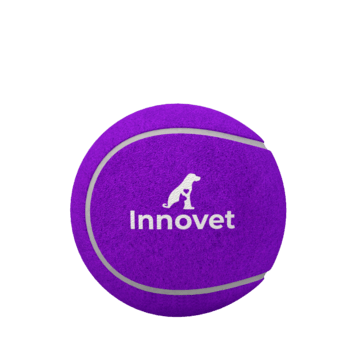 Purple Premium Quality Dog Tennis Ball - | Innovet Pet