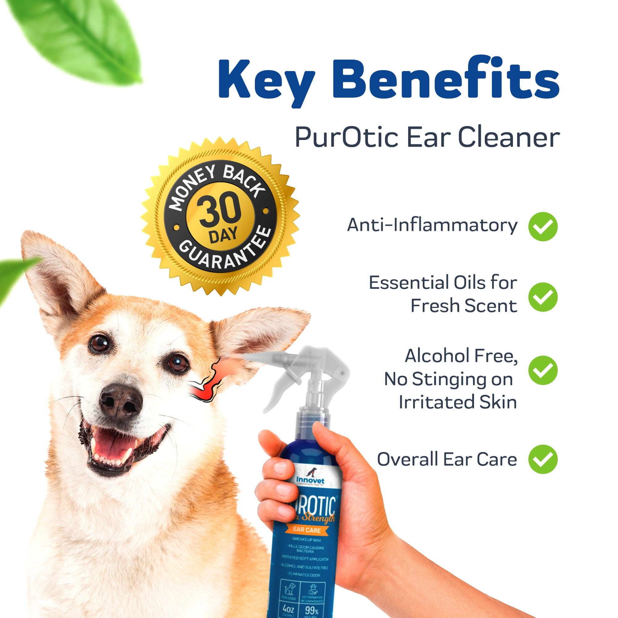 PurOtic®- All Natural Dog Ear Cleaner – Innovet Pet