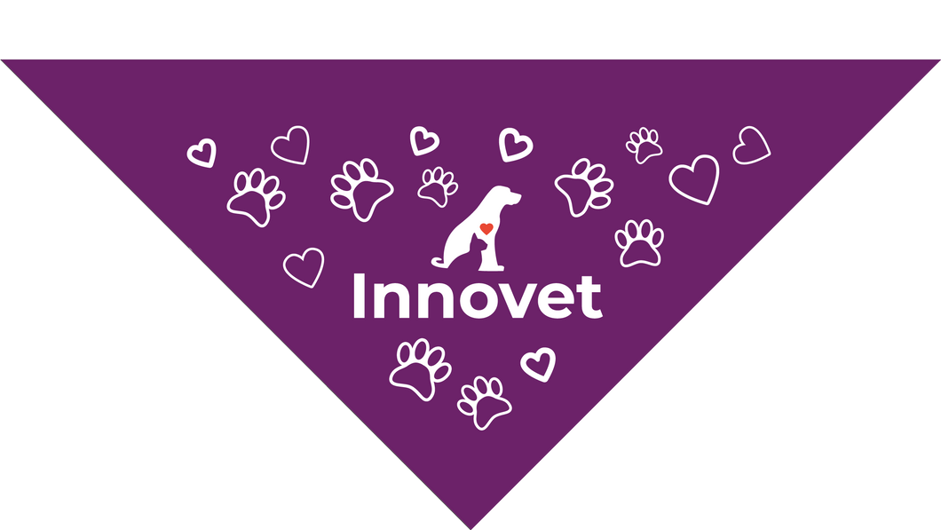 Bandanas for Pets - Large - | Innovet Pet