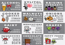 Load image into Gallery viewer, STAT!Syringe® to Induce Vomiting in Dogs in an Emergency! - | Innovet Pet
