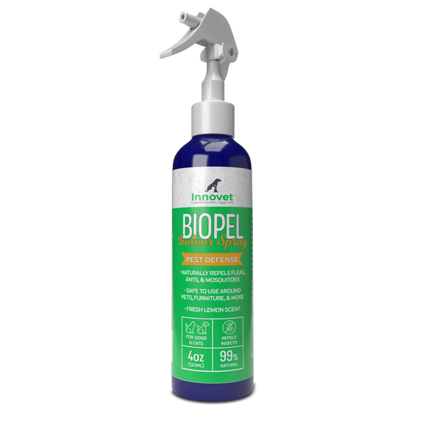 BioPel Indoor Insect Control Spray - | Innovet Pet