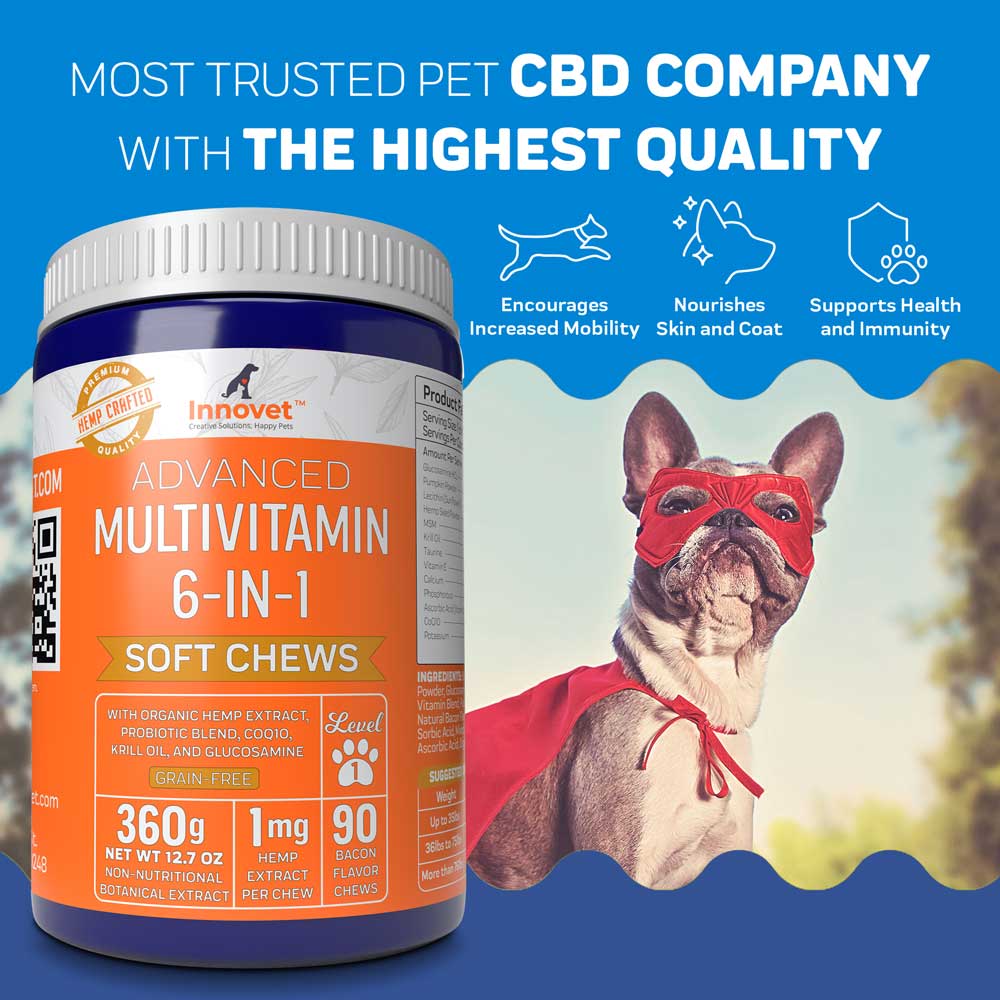 Dog multivitamin powder 2025