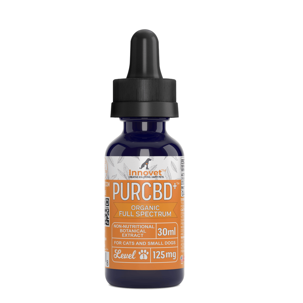 CBD Oil for Cats