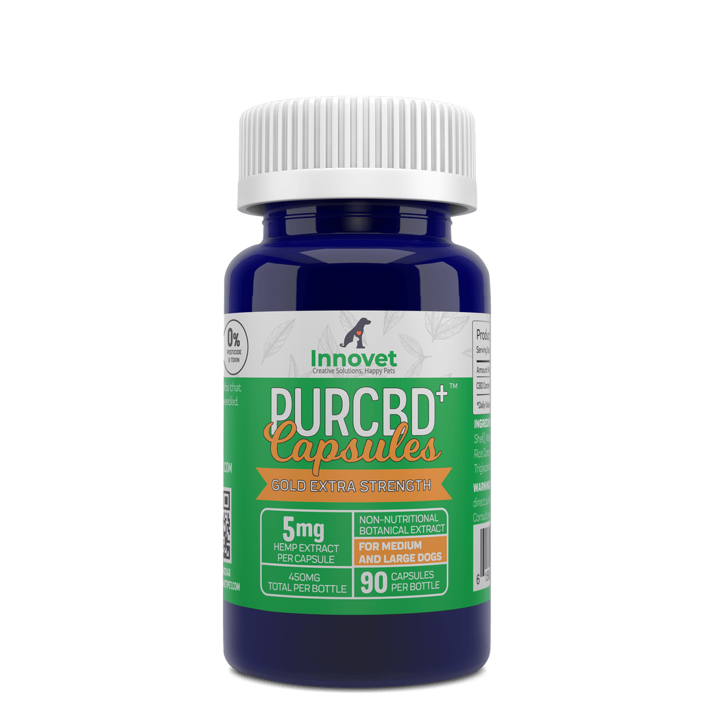 Cbd pills for deals dogs